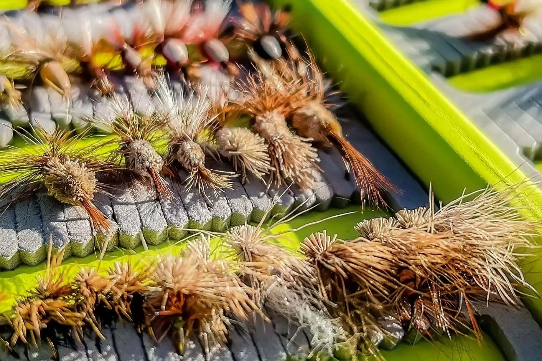 How to Organize Your Fly Box: A Guide to Streamlining Your Fishing Suc –  Jackson Hole Fly Company