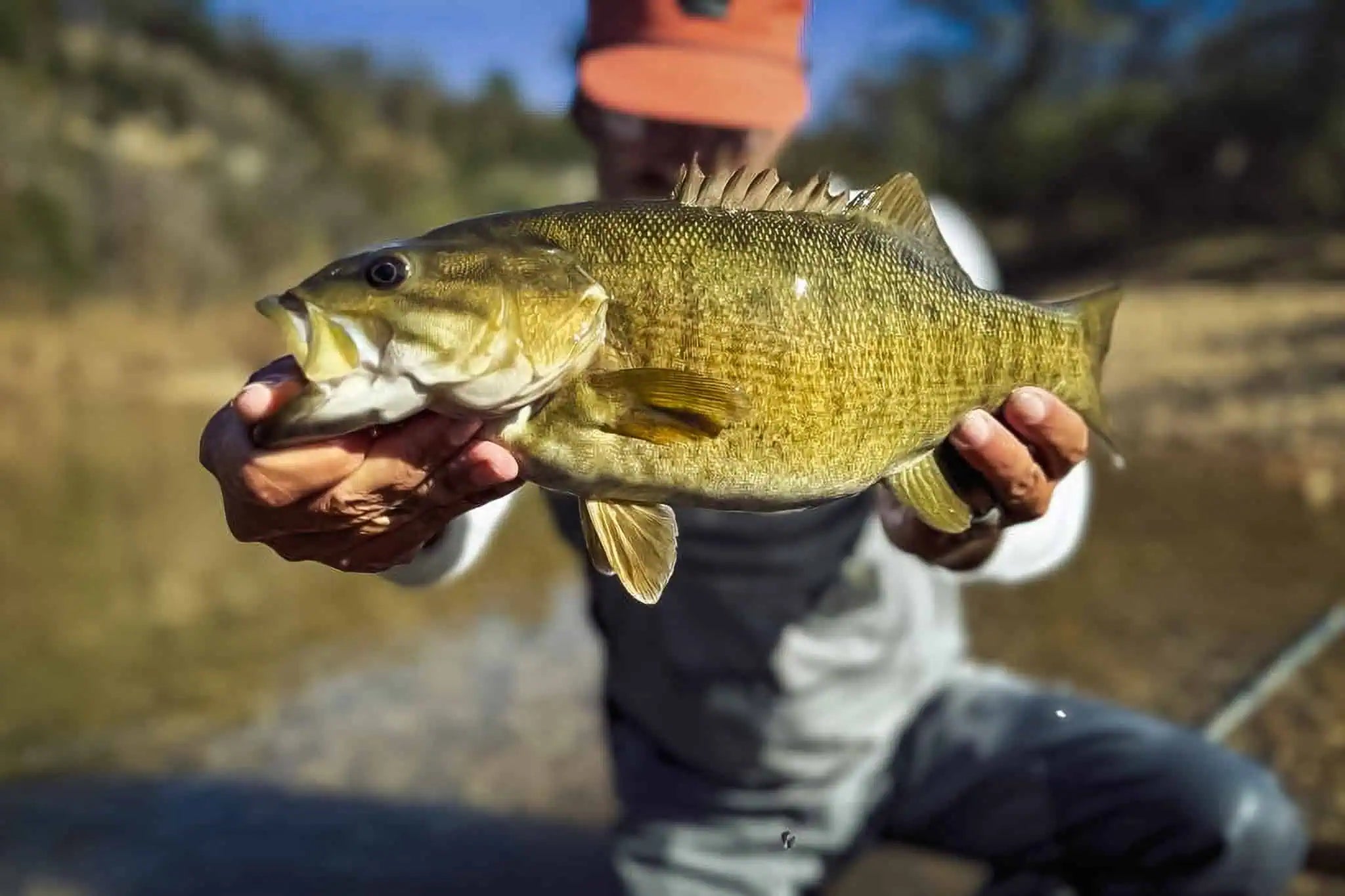 Summer Smallmouth on the Fly: Flies, Water & Tactics | JHFLYCO