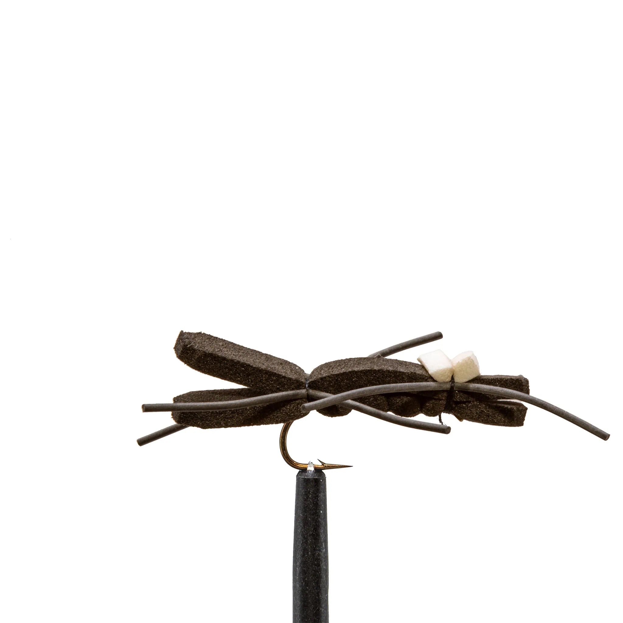Chernobyl_Ant_Black_Jackson_Ho