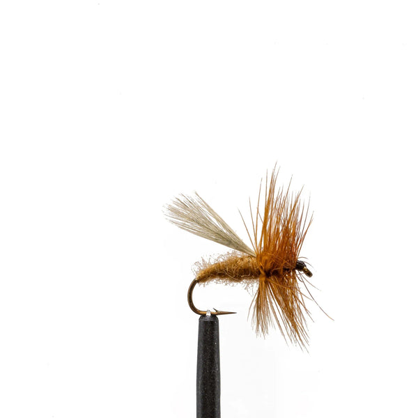 Cinnamon Ant – Summer Terrestrial Dry Fly – Jackson Hole Fly Company