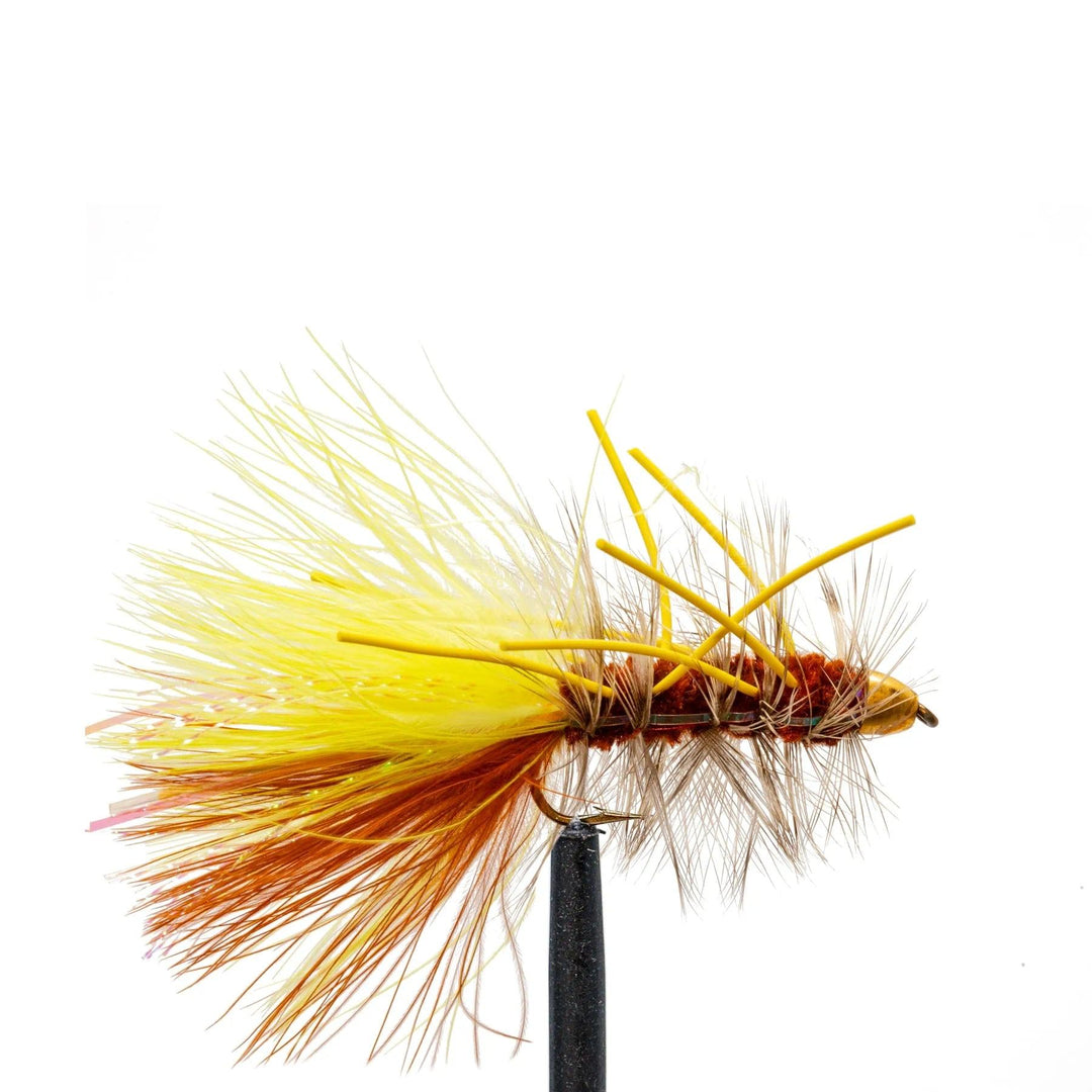 JJ Special Brown Grizzly Conehead - Flies, Streamers, Wooly Bugger | Jackson Hole Fly Company