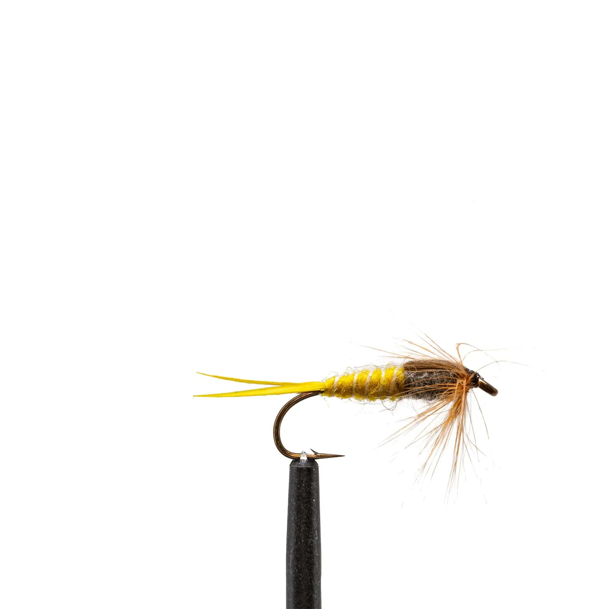 StoneFly Yellow Nymph #12 – Mosca Affondante Per Trota – Confezione Da 6 Con Tubo Protettivo – OregonFishingSupply