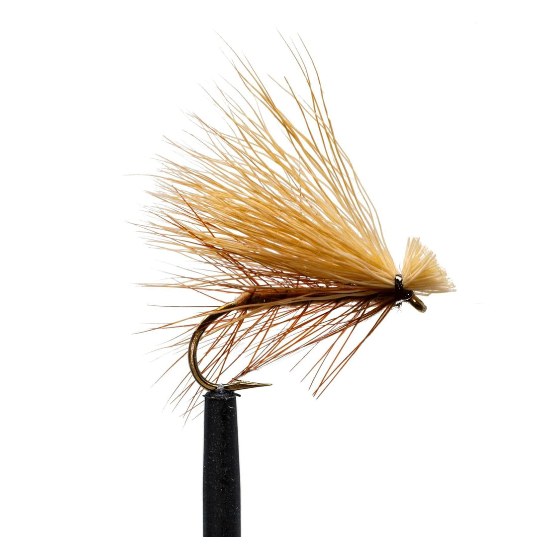Elk Hair Caddis - Basics, Caddis, Dry Flies, essentials, Flies | Jackson Hole Fly Company