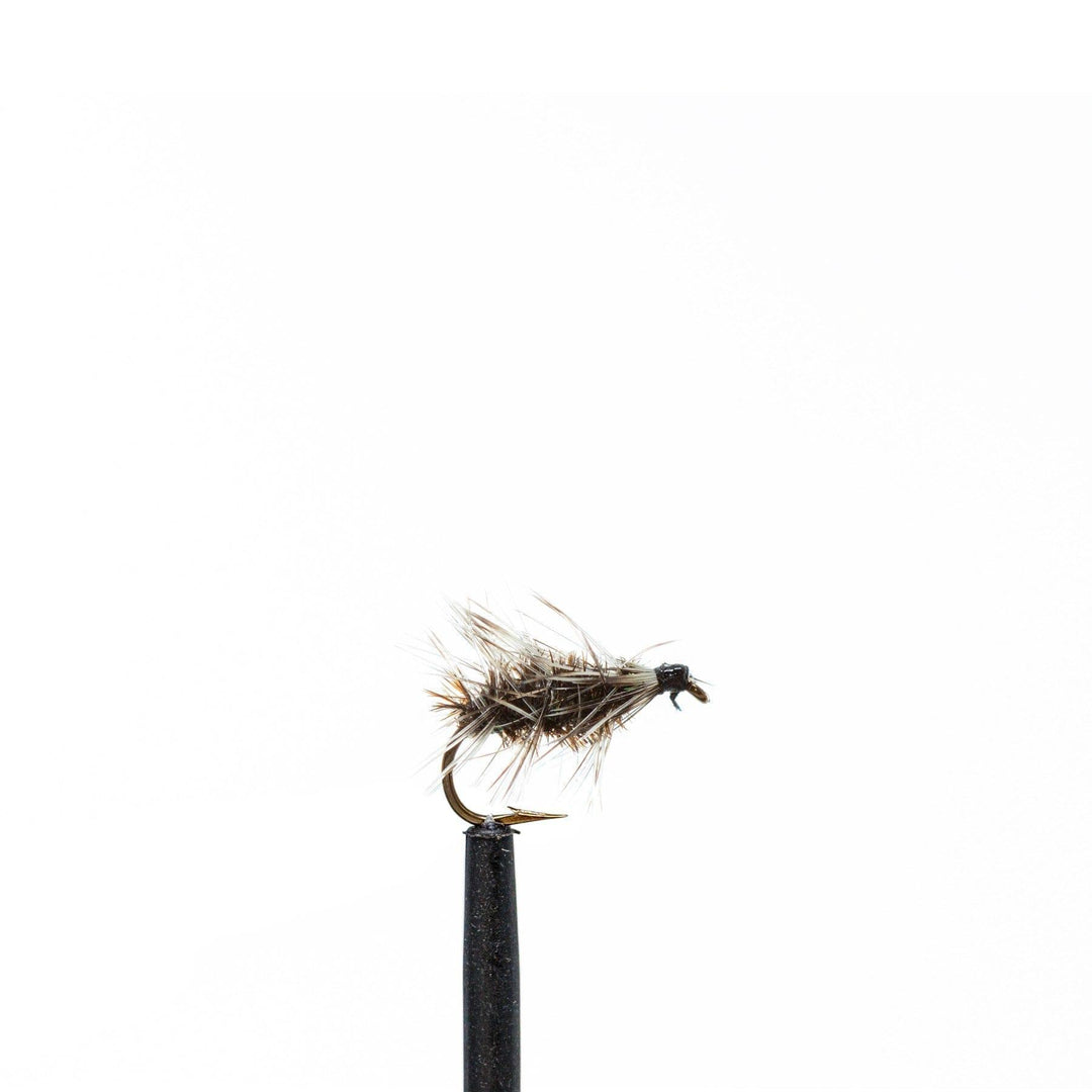Griffith Gnat - Dry Flies, Flies | Jackson Hole Fly Company