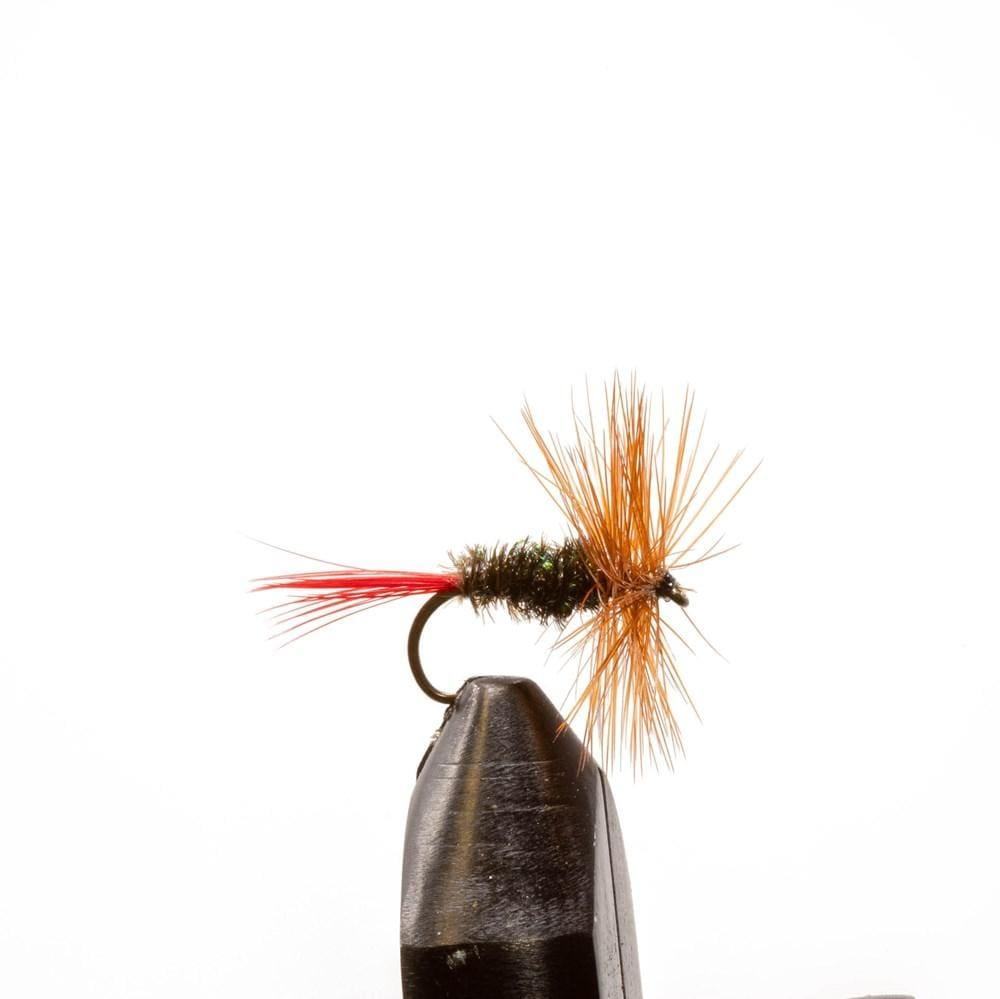 Brown Hackle Peacock - 14