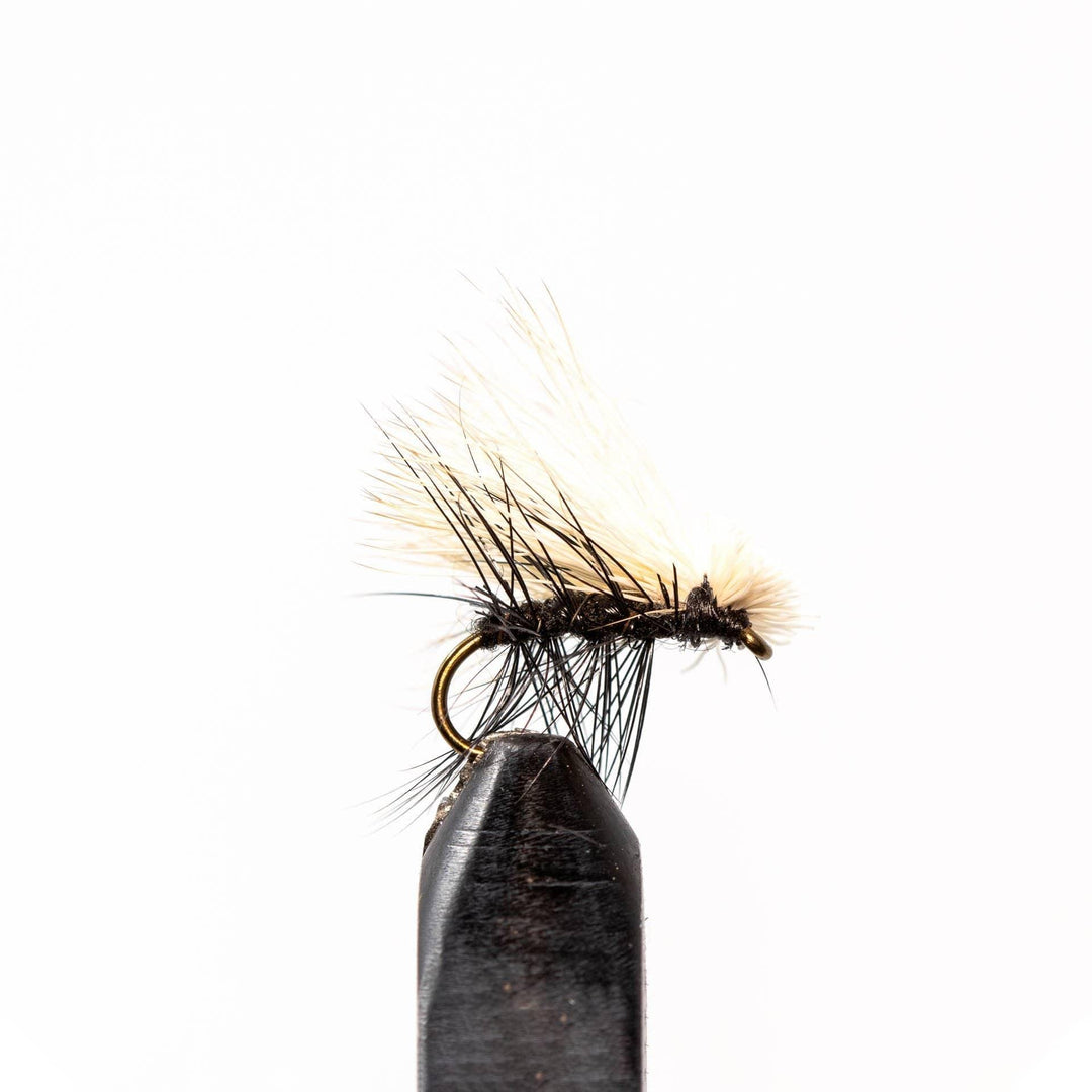 Black Caddis - Dry Flies, Flies | Jackson Hole Fly Company