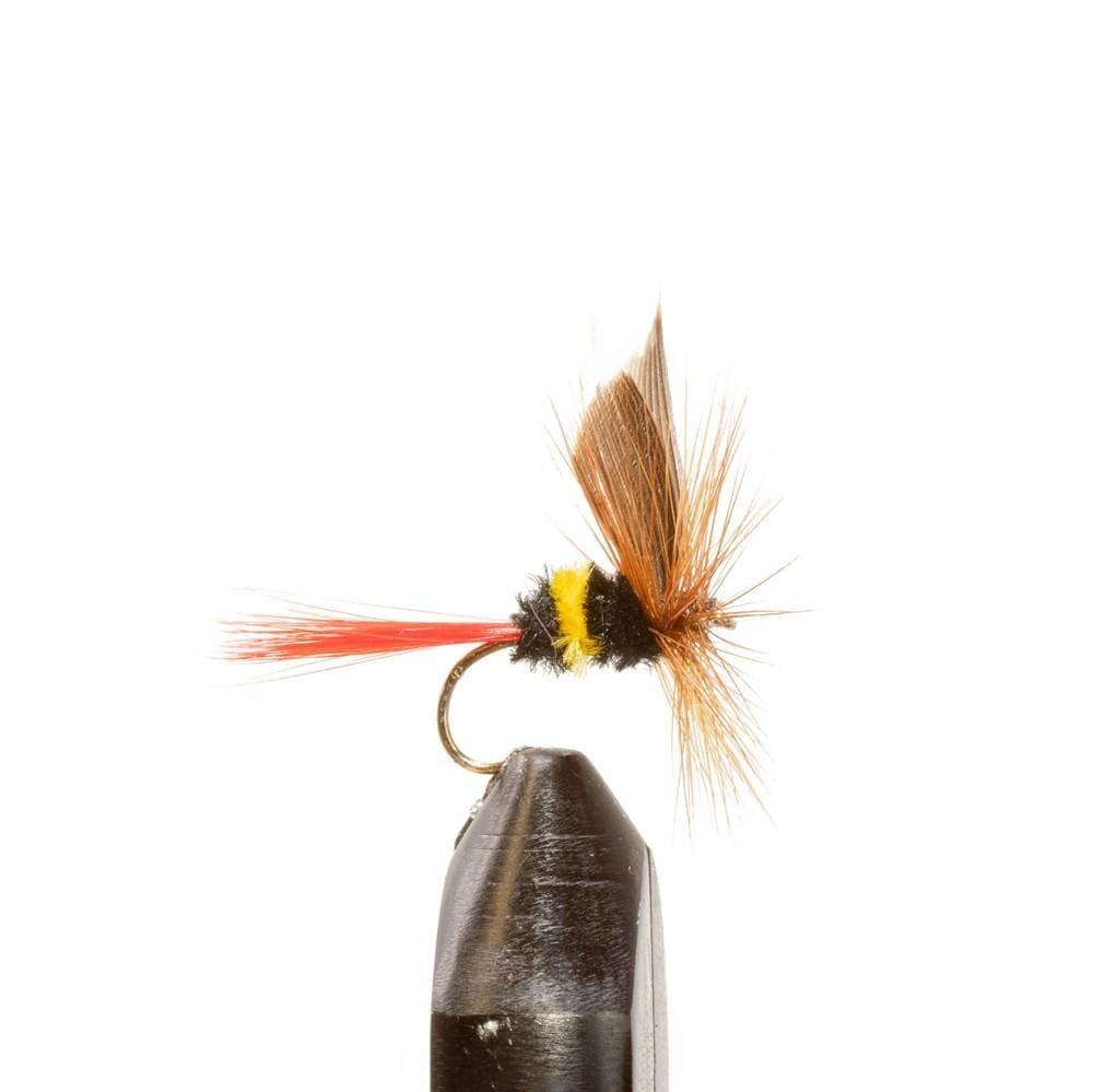 Mcginty - Dry Flies, Flies | Jackson Hole Fly Company