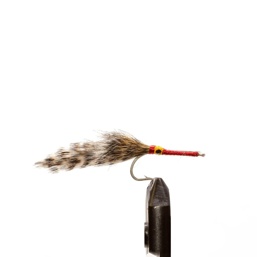 Squirrel Tail Red/ Grizzly - Flies, Salt Water, Streamers | Jackson Hole Fly Company
