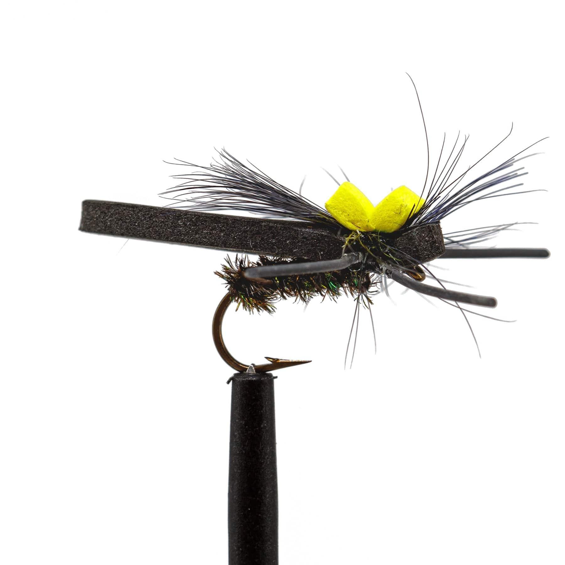 beetle fishing lure Snake River Beetle - 10