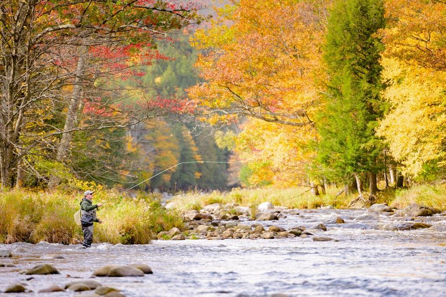 10 consejos para pescar truchas en otoño