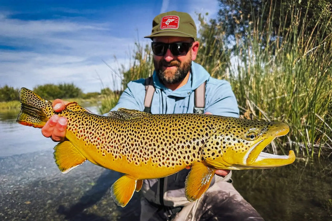 Winter Trout Tactics: Flies, Rigs, and Strategies for Cold Water ...