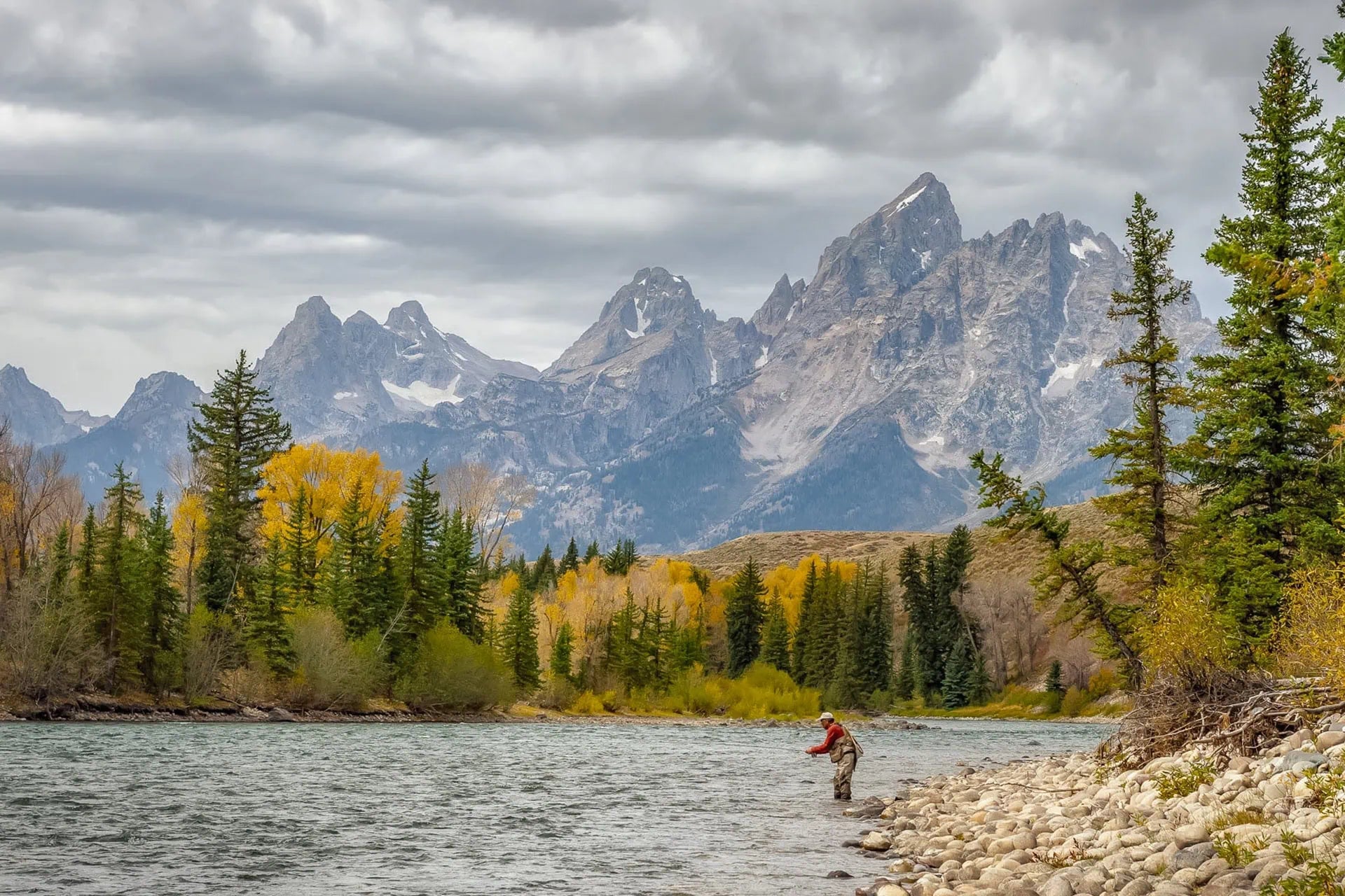 Fall Fly Fishing Guide: Key Hatches & Essential Flies – Jackson Hole ...