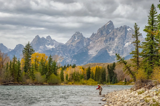 Fall Fly Fishing Guide: Key Hatches & Essential Flies