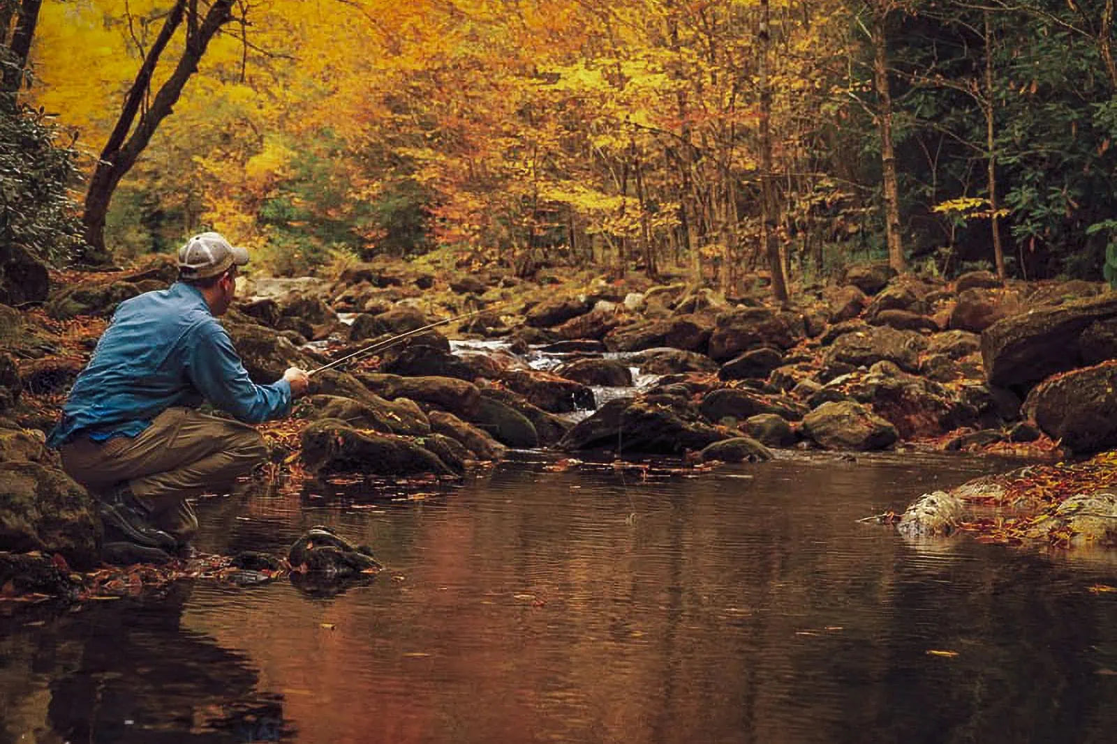 Fall Fly Fishing for Brook Trout: Essential Tips & Techniques – Jackson ...