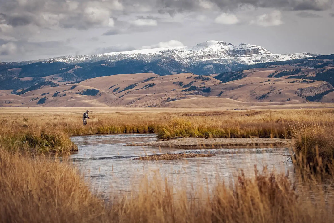 10 Must-Have Flies for October Fly Fishing