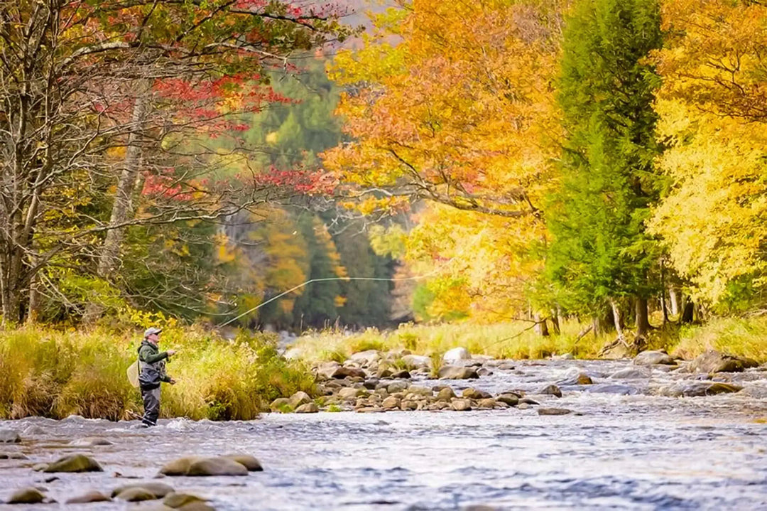 Fall Casting Tips: Master the Basics for Success – Jackson Hole Fly Company