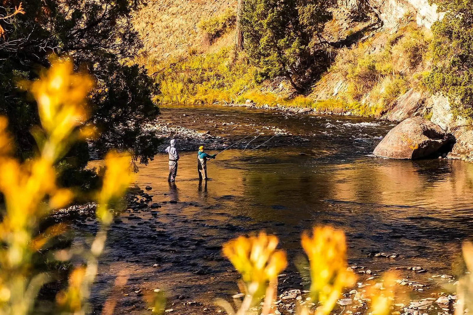 Fall Casting Tips: Master the Basics for Success