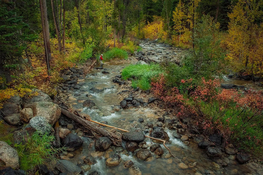 Mastering Low Water: Tips for Late Fall Trout Fishing Success