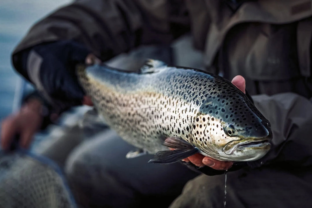 Fly of the Month: Essential Flies for the Atlantic Salmon Run