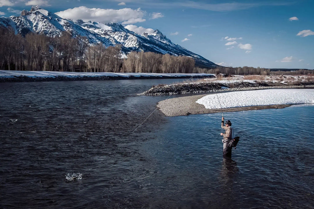 Late Winter Fly Guide – Top Patterns & Strategies for Success