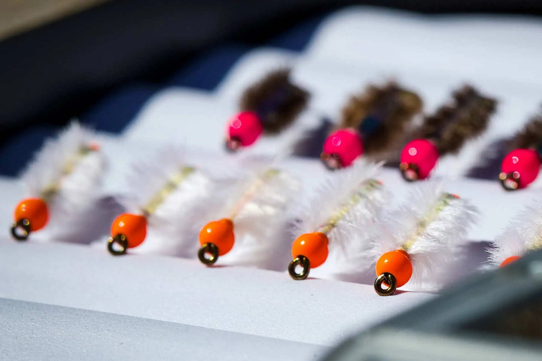 Winter Trout Tactics: Flies, Rigs, and Strategies for Cold Water ...