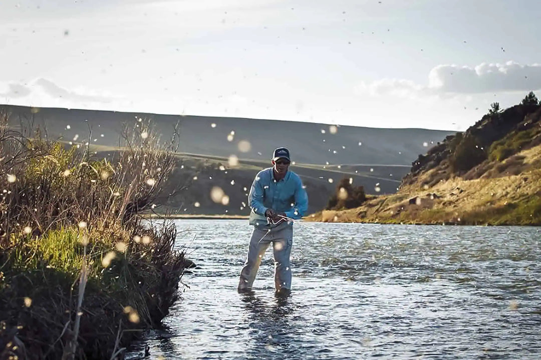 Fly of the Month: Read the Rise — How to Decode a Caddis Hatch in Real Time