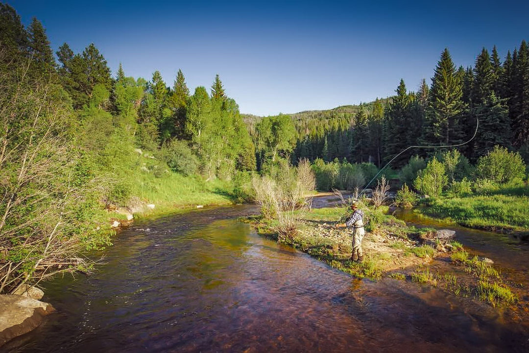 5 consejos y 5 moscas para la pesca con mosca a principios de primavera