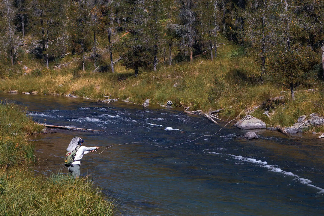 Fishing the Foam Line: Why Foam Is Food and How to Read It