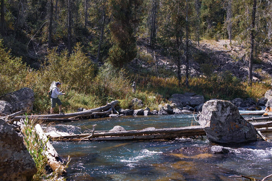 Backcountry Fly Fishing Essentials: Gear, Tips & Tactics for Remote Waters