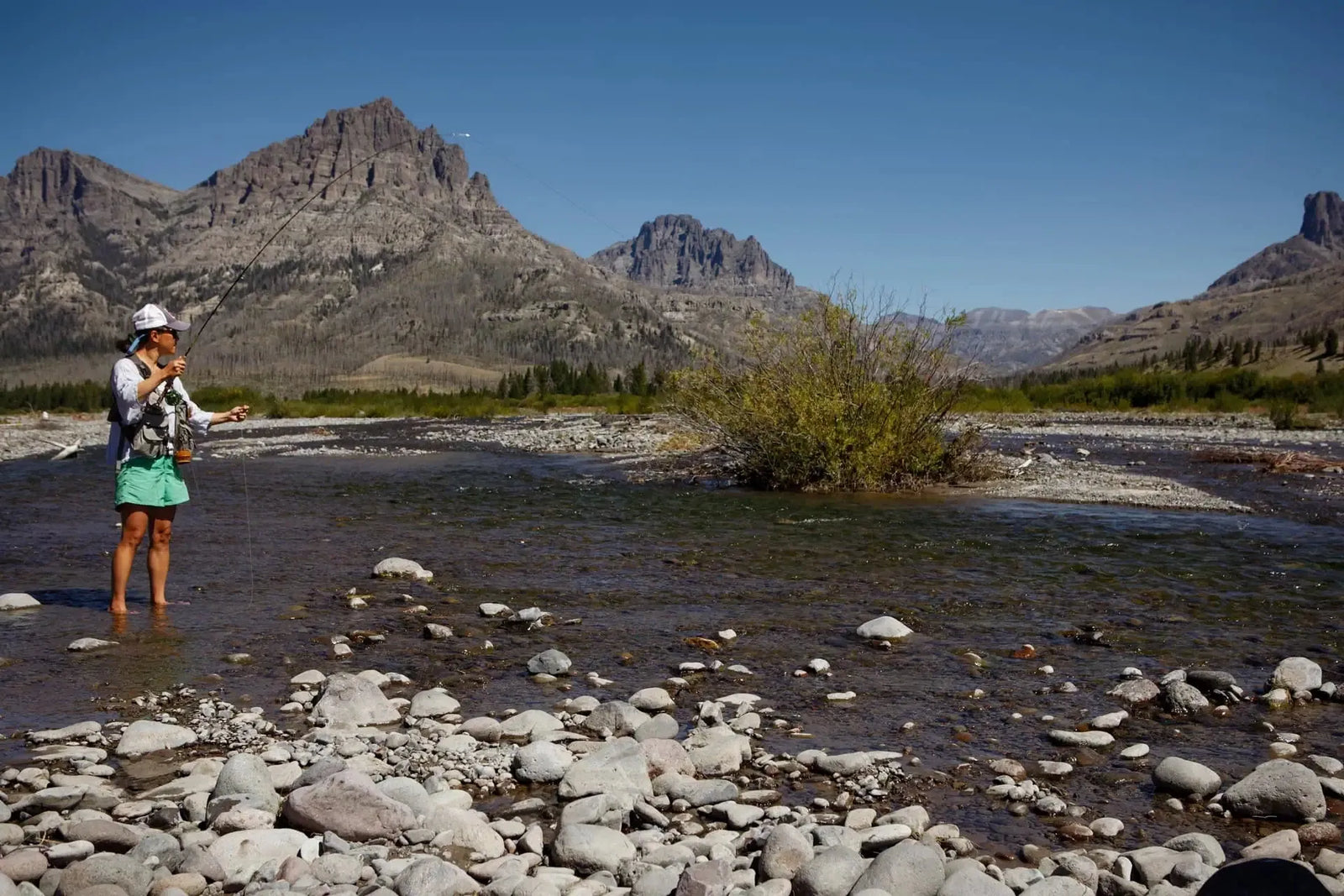 Fly Fishing for Beginners: Your Ultimate Summer Guide