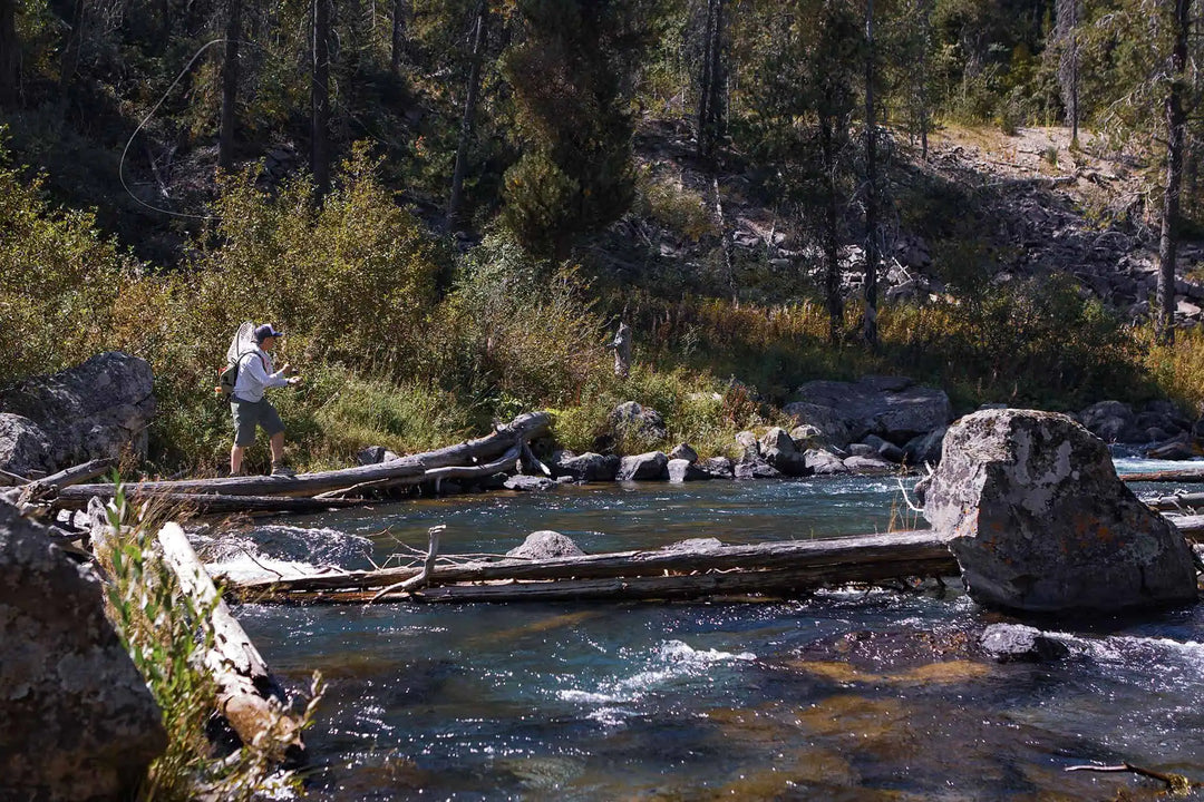 Fly of the Month: Big Foam Attractors — The Summer Confidence Game