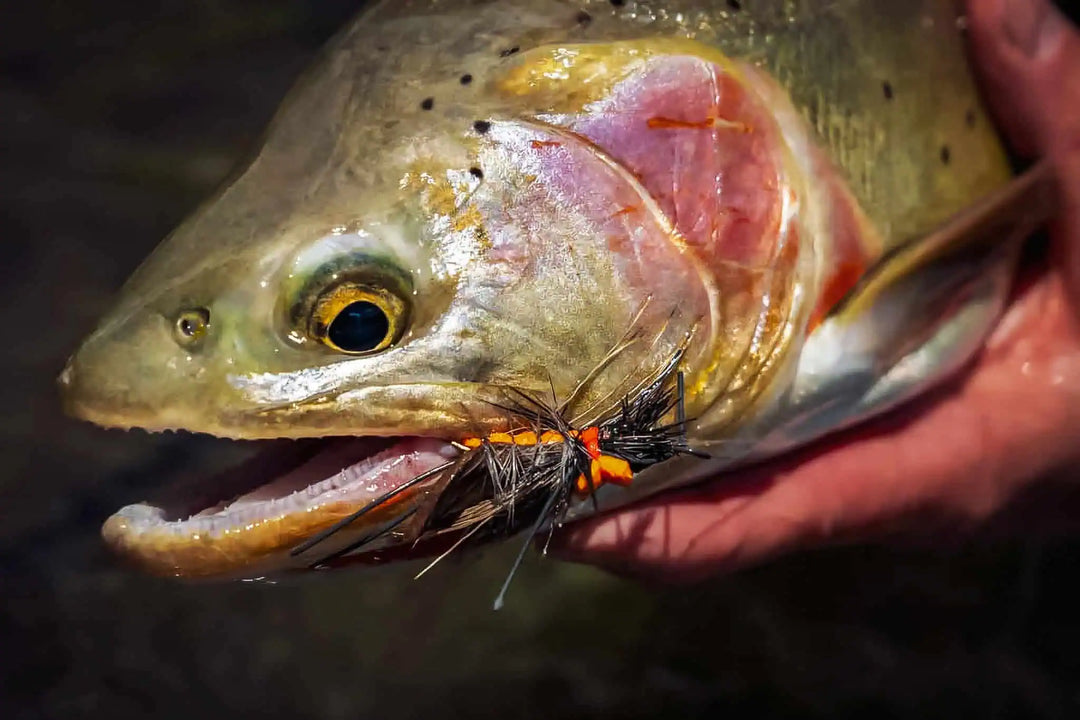 bright box fly fishing pattern Midge Fishing | Fishing Flies loaded foam fly box with proven sea trout patterns including DNA Clousers and Ocean Liners A spring steelhead pattern you