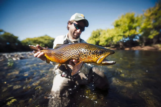 Rule the Waters This Summer with Terrestrial Flies