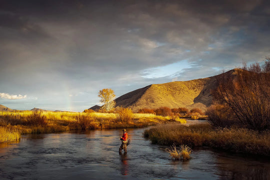 Fly of the Month: Mastering Tiny Mayflies for Fall Trout