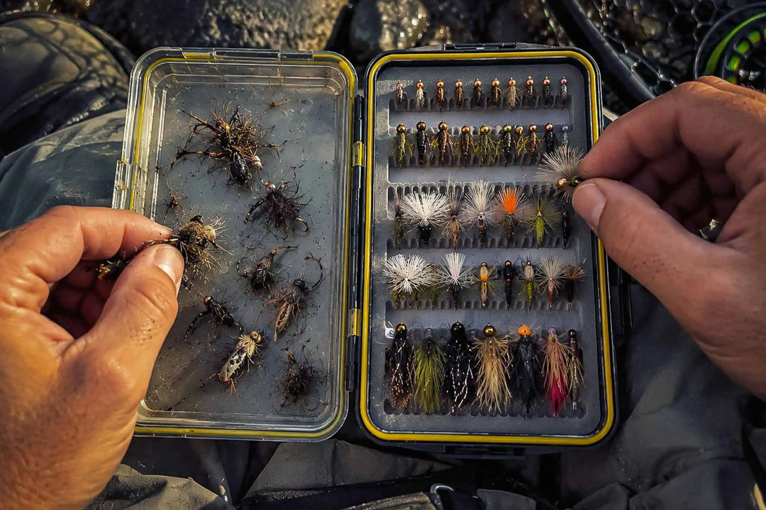 Getting Your Fly Box Ready for Fall