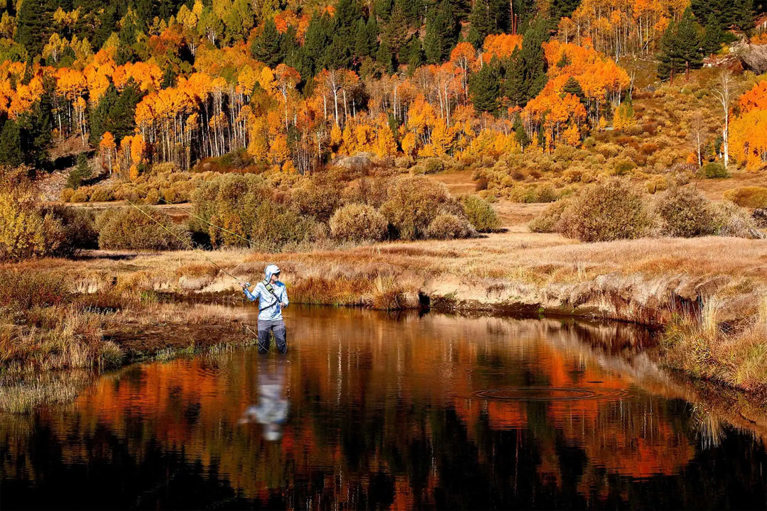 Fall Stillwater Fly Fishing: A Complete Lake Guide