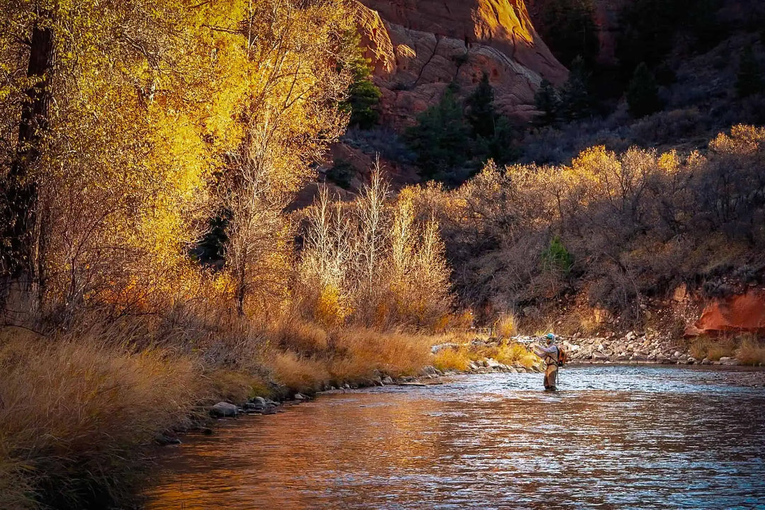 Fall Fly Fishing: How Tactics Change as the Season Turns