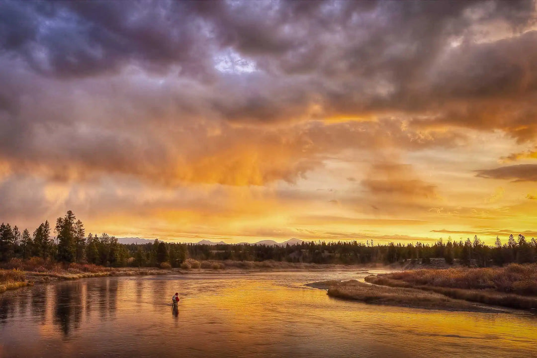Fall Fly Fishing Guide: Key Hatches & Essential Flies