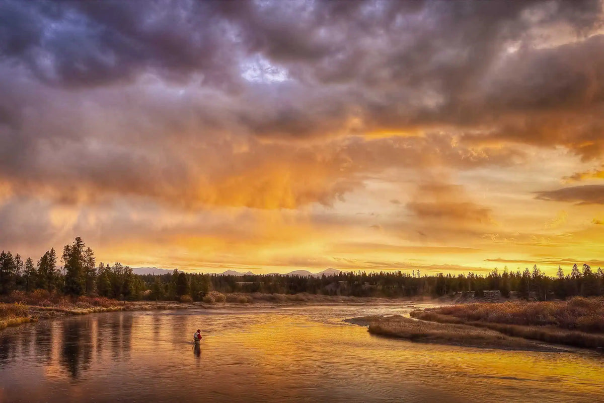 Fall Fly Fishing Guide: Key Hatches & Essential Flies