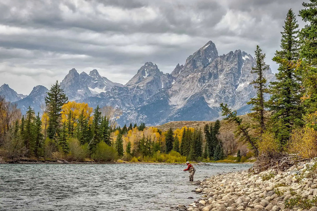 Fishing the Weather: Fronts, Pressure and Gray Days