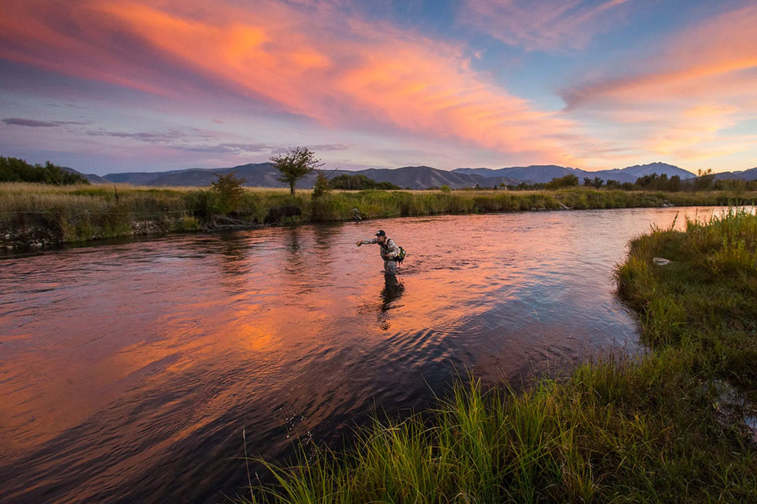Late-Summer Dry Fly Essentials: 8 Proven Patterns for August Trout