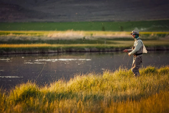 6 tácticas de pesca con mosca de finales del verano