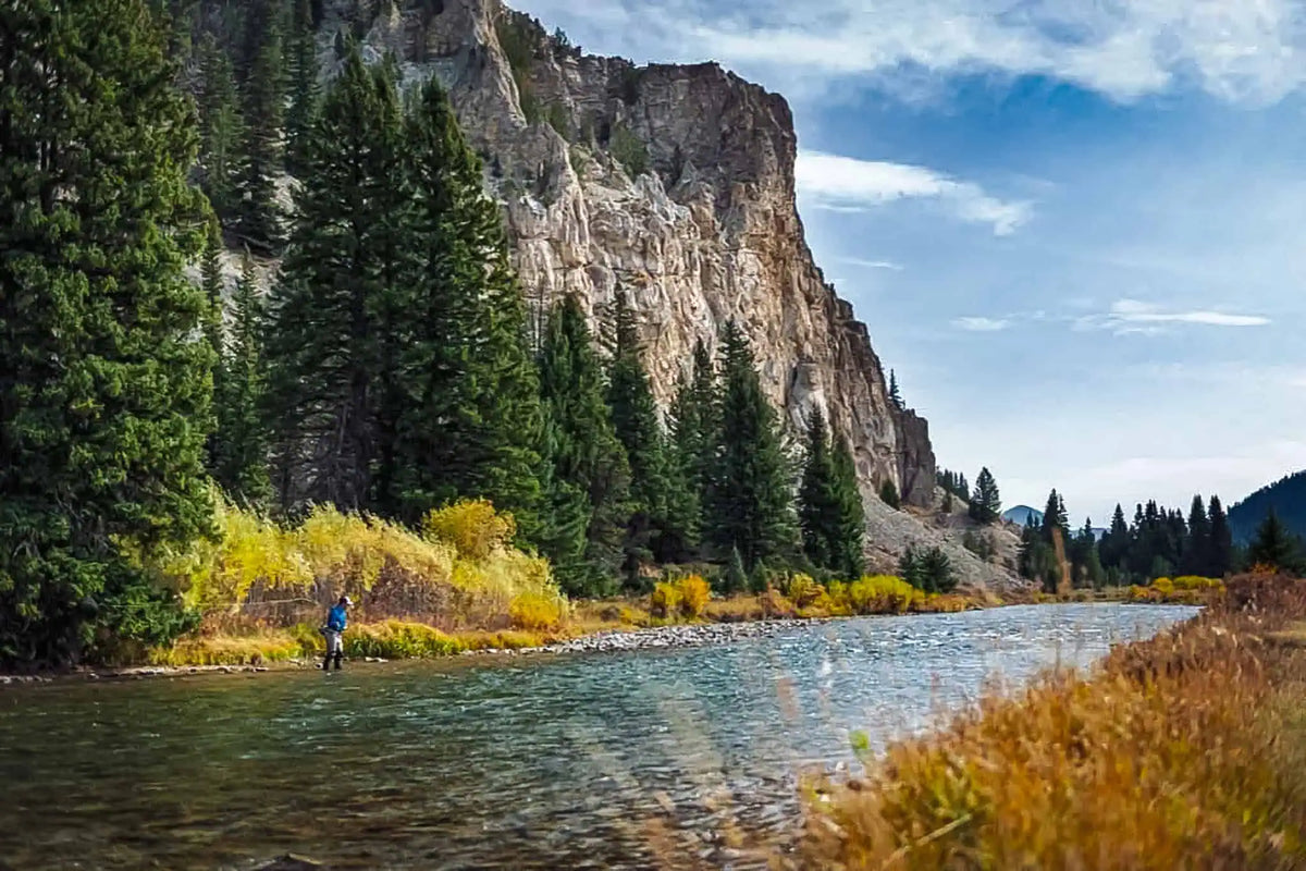 How to Fish Low Water in Early Fall – Best Rod & Line Setups | Jackson Hole Fly Company