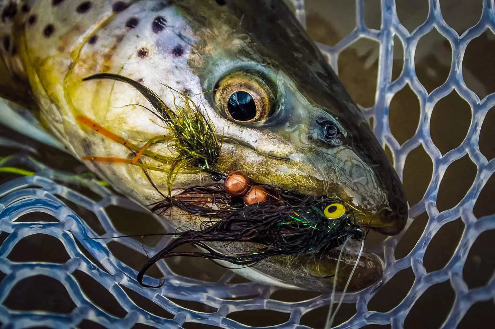 Master Fall Streamer Fishing: Top Flies, Gear & Pro Tips