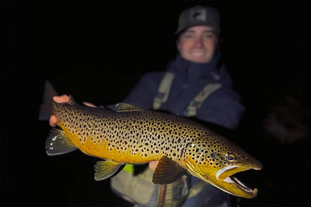 After Dark: Mousing for Big Browns