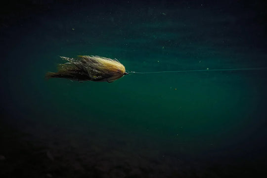 Streamer Science: How to Fish Slow and Deep for Big Trout