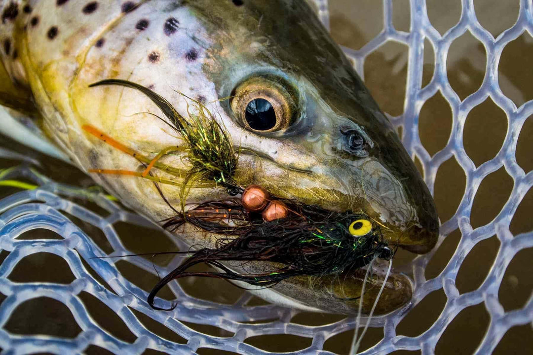 Streamer Setups: Choosing the Right Line, Leader and Rod