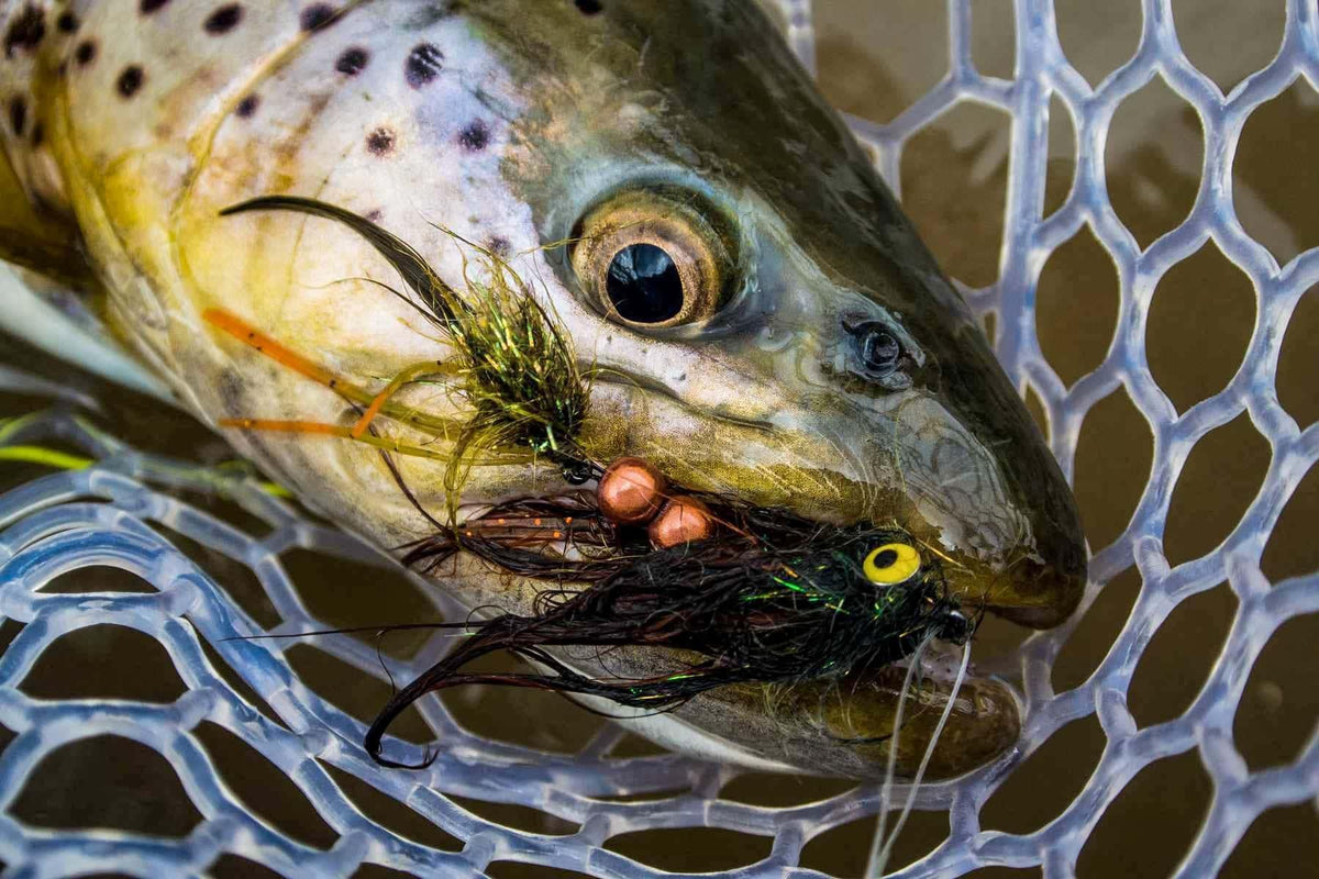 Streamer Setups: Choosing the Right Line, Leader and Rod