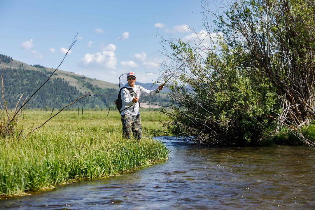 The Summer Fly Collection: What Earns Its Place June Through September
