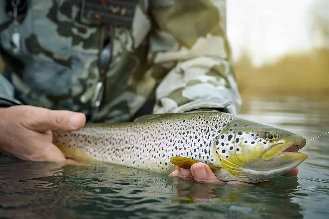 Straddle Fly Fly of the Month: Humpy – Best Summer Dry Fly Patterns and Tips ...